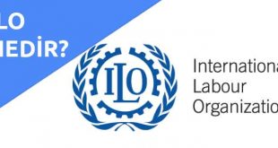 ilo-merkezi-nedir